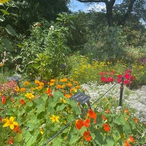 Meet your Posher, Riley